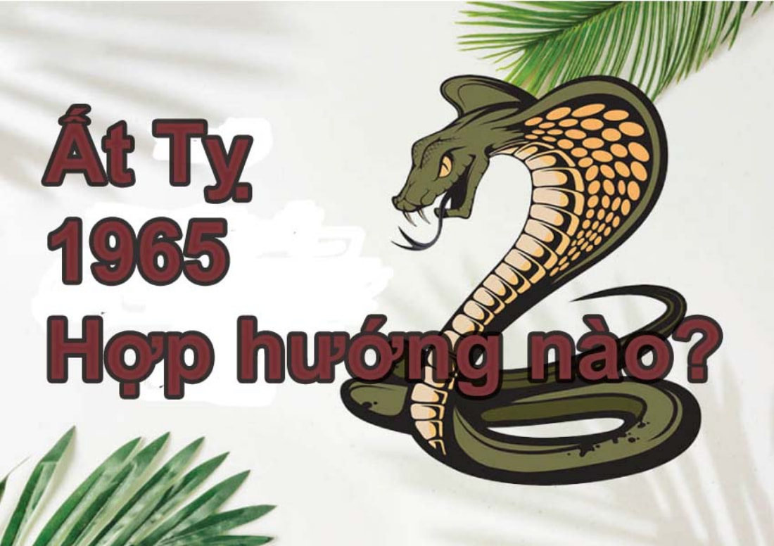 Tuổi Ất Tỵ Hợp Hướng Nào HƯNG VƯỢNG – MAY MẮN