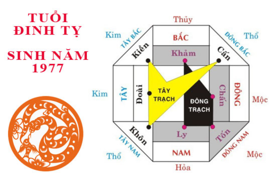 Tuổi Đinh Tỵ Hợp Hướng Nào Thịnh Vượng – Tài Lộc