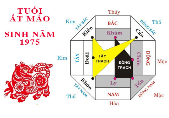 Tuổi Ất Mão Hợp Hướng Nào Mang Lại Sức Khỏe, May Mắn, Tài Lộc