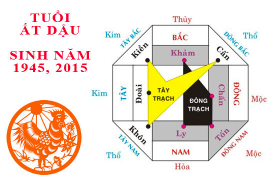 Nam Ất Dậu có mệnh Đông trạch, nữ Ất Dậu mệnh Tây trạch