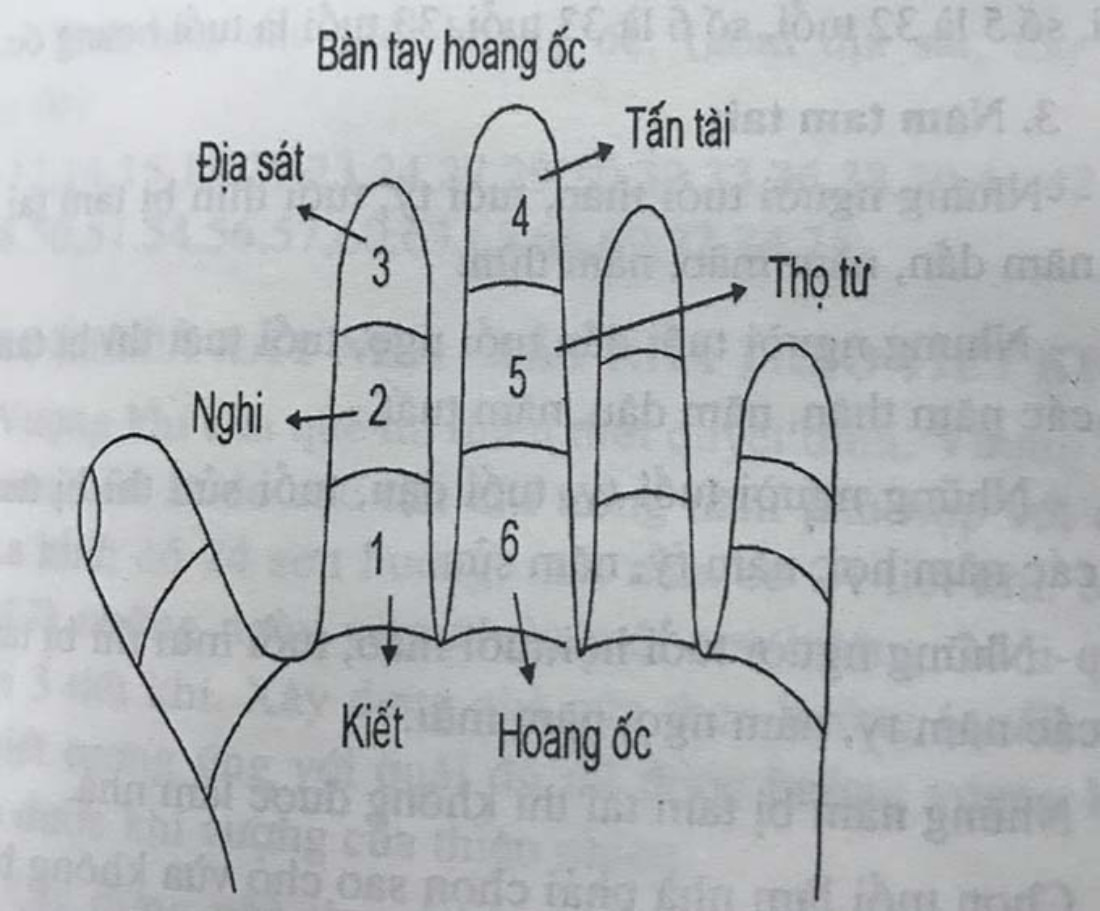 Ngón tay trỏ và ngón giữa theo thứ tự lần lượt từ 1-6 tương ứng từ 10-60 tuổi