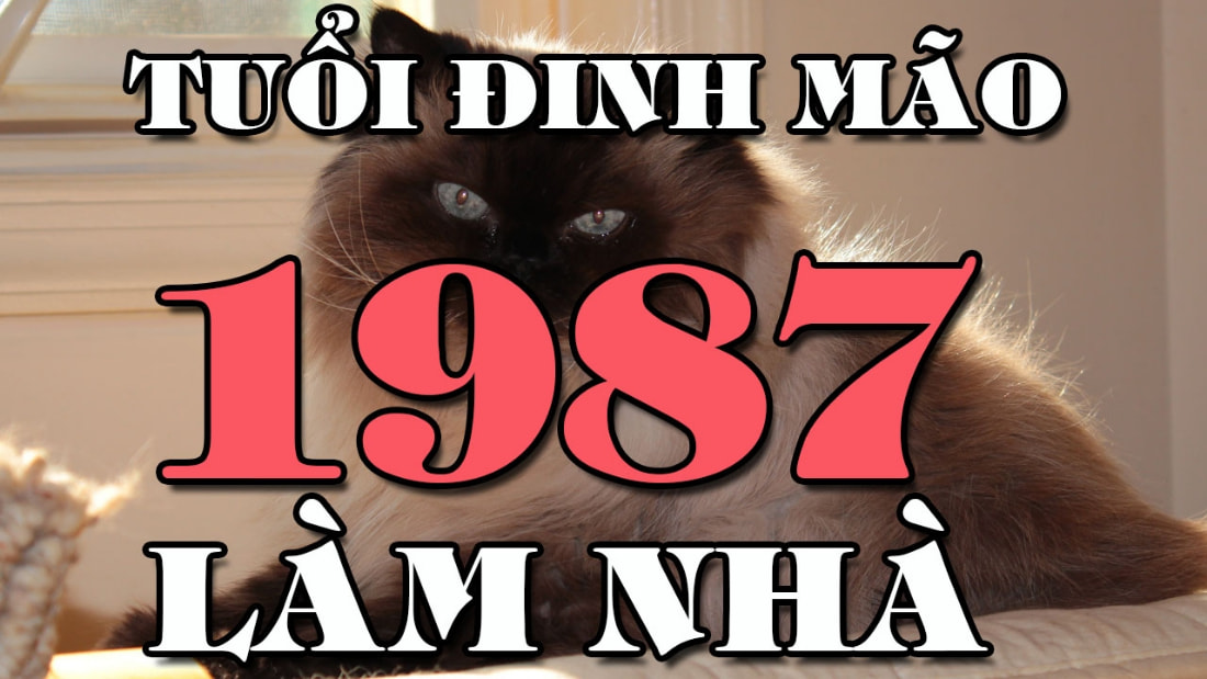 Nam Đinh Mão có mệnh Tây trạch, nữ Đinh Mão có mệnh Đông trạch
