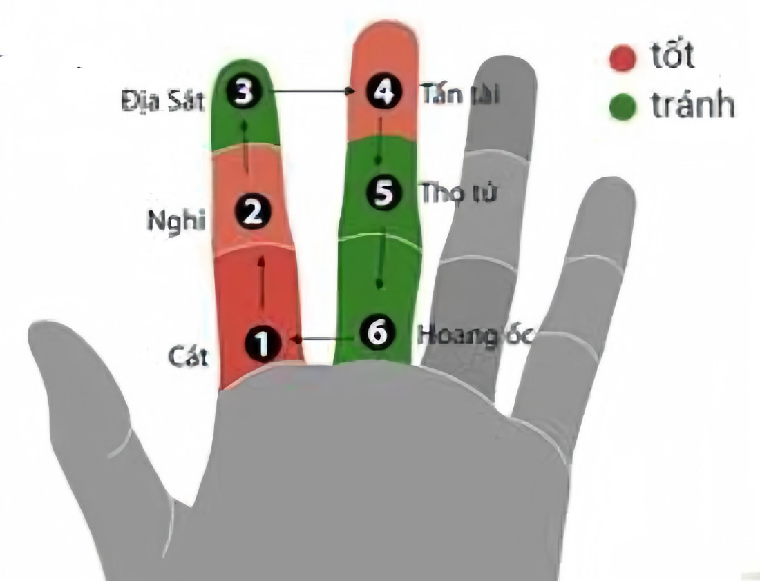 Luận giải Hoang Ốc dựa vào 6 đốt ngón trỏ và giữa trên bàn tay