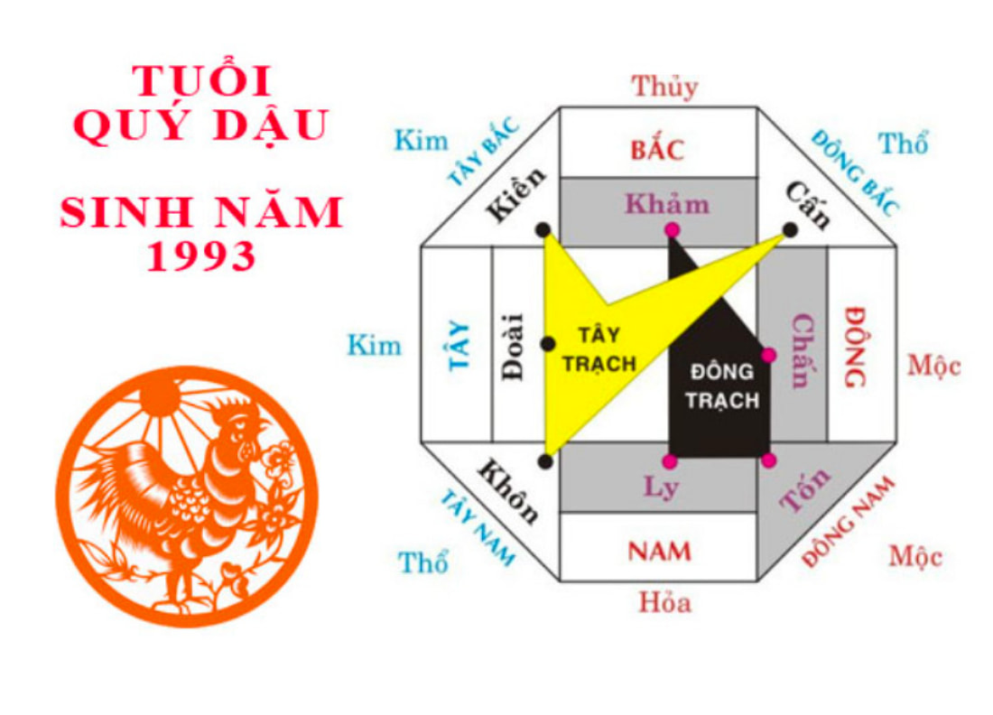 Nam Quý Dậu có mệnh Đông trạch, nữ Quý Dậu có mệnh Tây trạch
