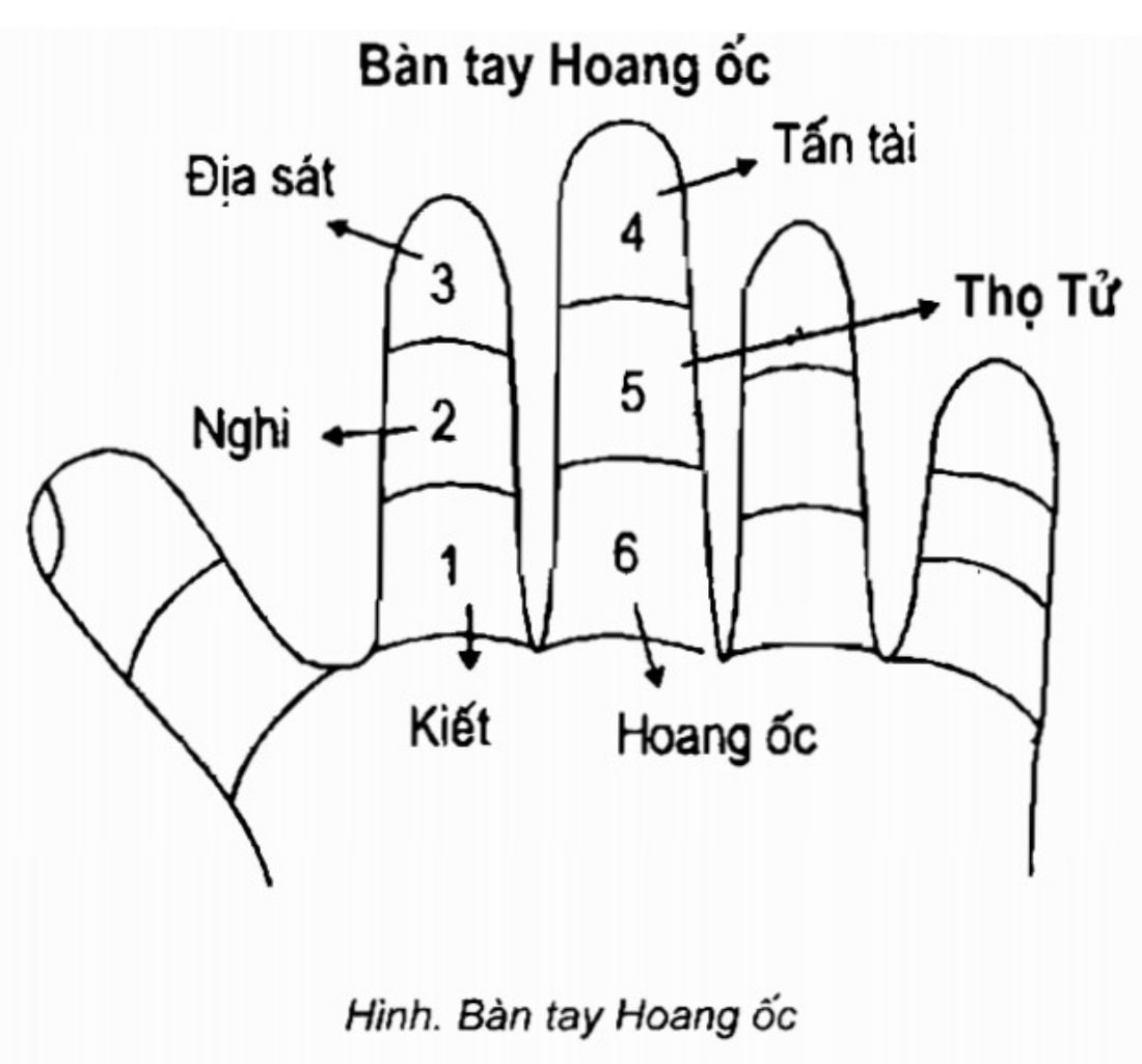 Cách tính Hoang ốc dựa vào ngón trỏ và giữa trên bàn tay